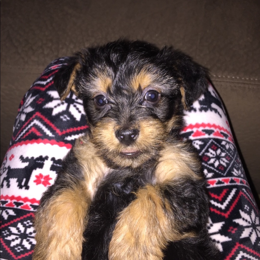 Meet your Posher, Heather